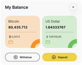 Dashboard-Übersicht der Zaffiro Capivex-Automated-Trading-Lösung